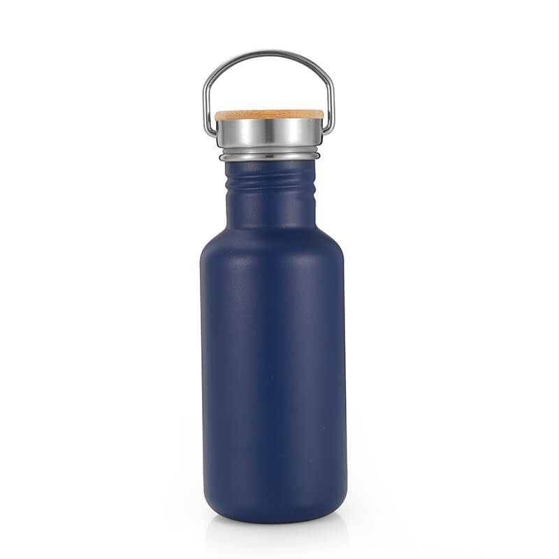 Stainless Steel Vacuum Insulated Water Bottle With Handle Lid - 500ml -  Modern, Minimalist And Sleek Design (Blue)
