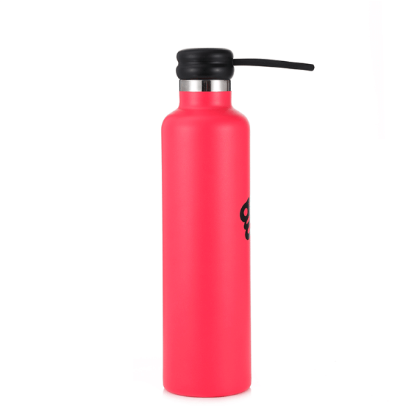 insulated drink bottle with straw 5