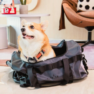 dog travel bag 4